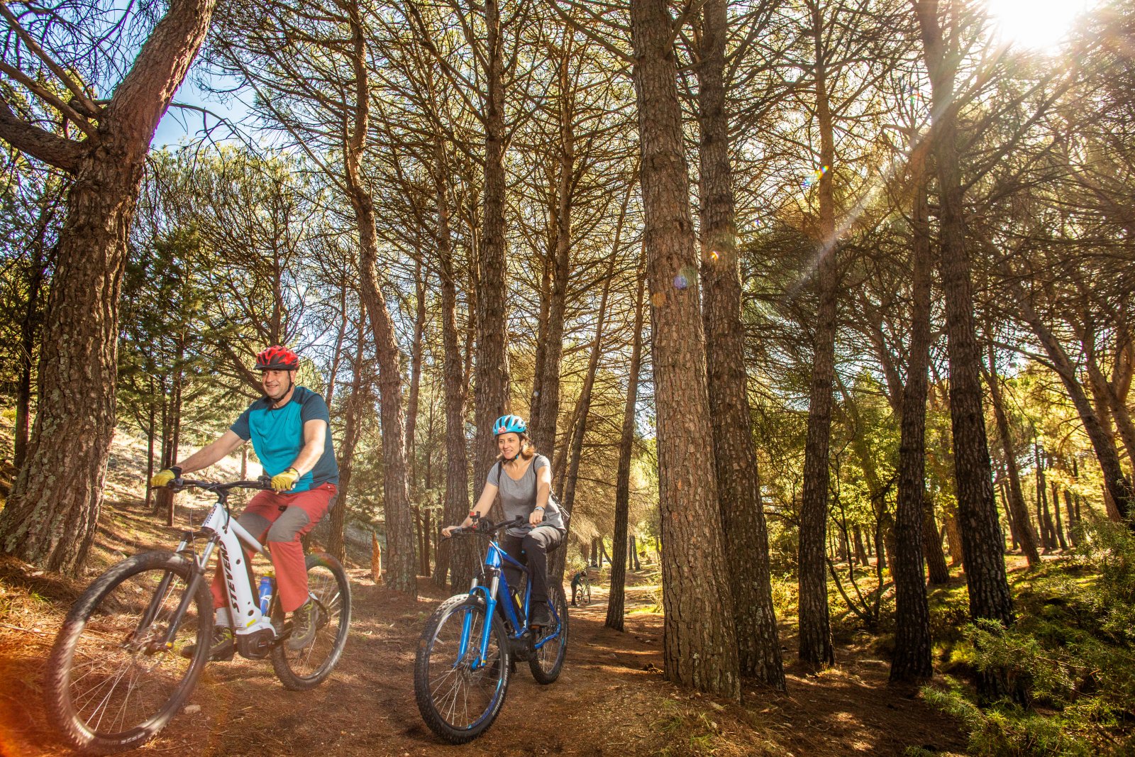 Ciclistas eléctricos entre pinos