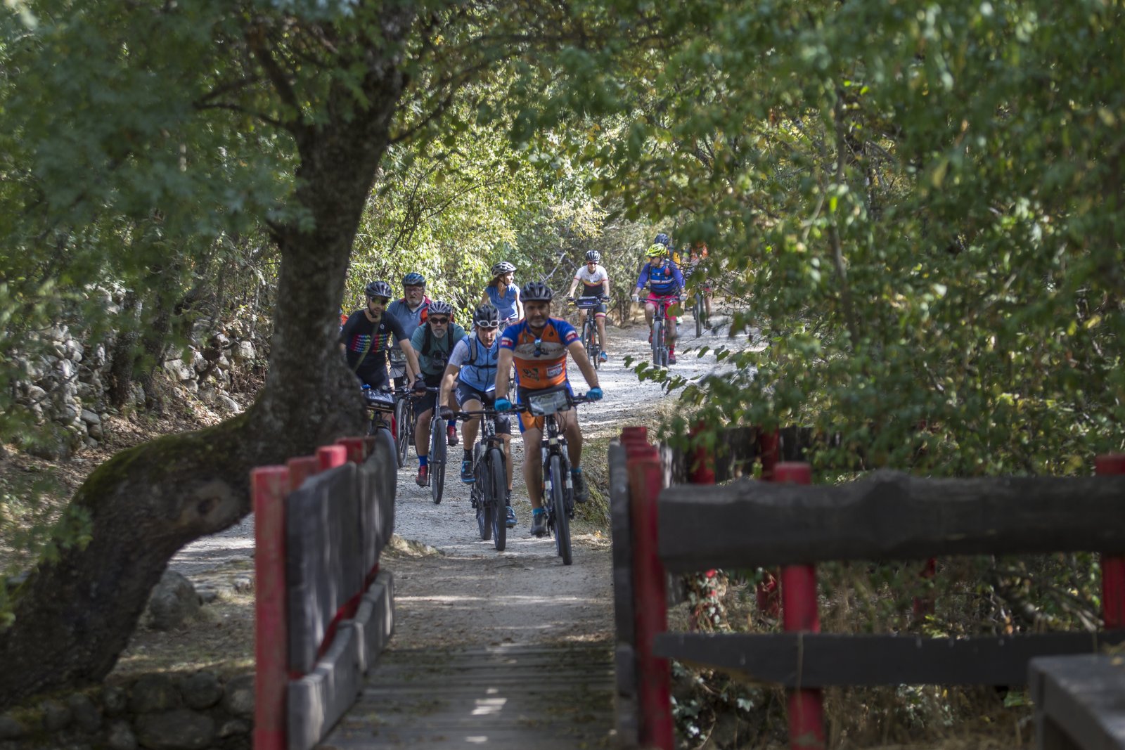 Grupo de ciclistas por un sendero