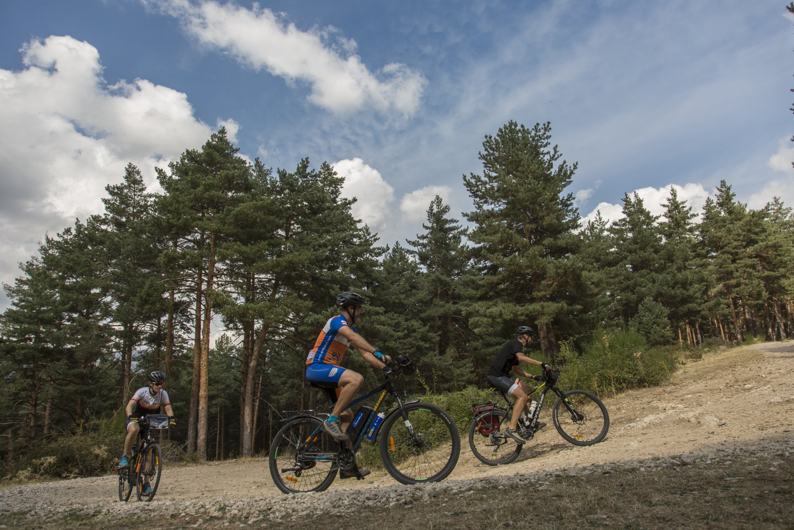 Ciclistas por un camino entre pinos