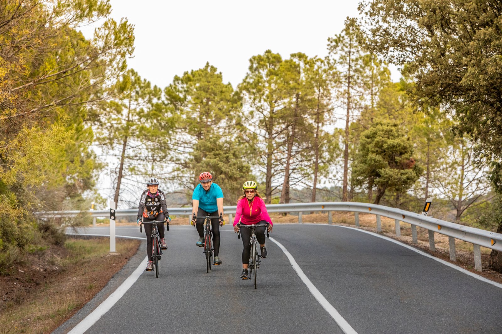Tres ciclistas por una carretera entre pinos
