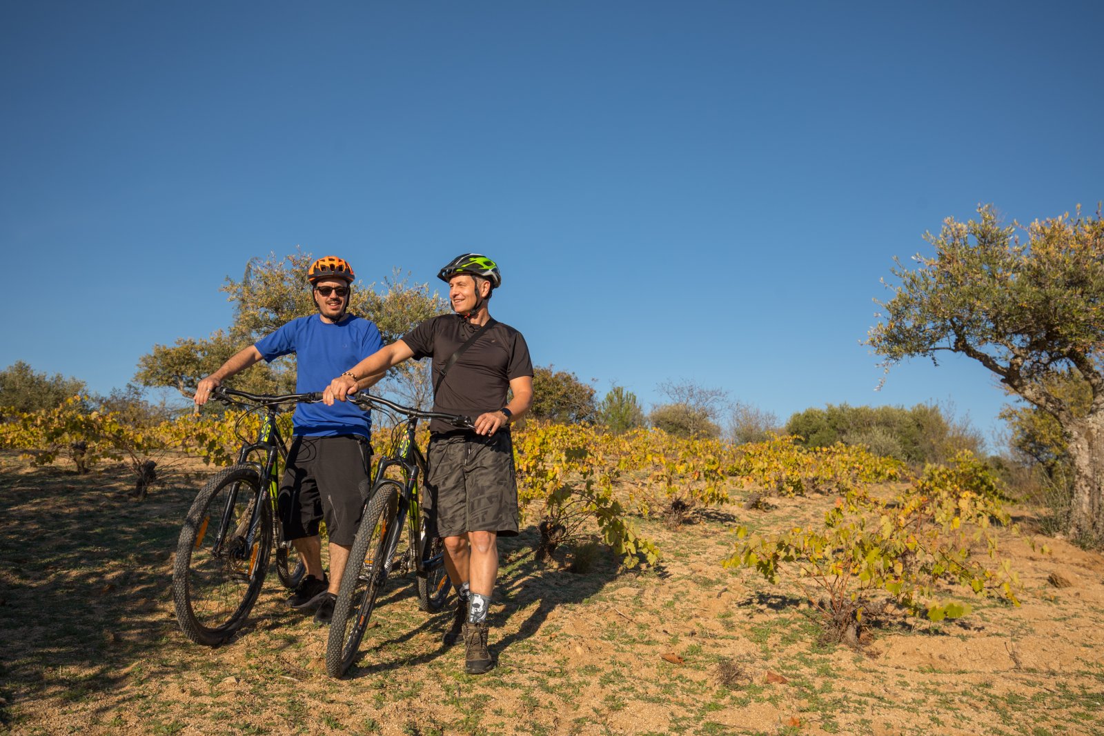 Dos ciclistas entre viñedos