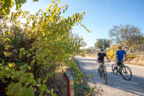 Ciclistas por un camino entre árboles