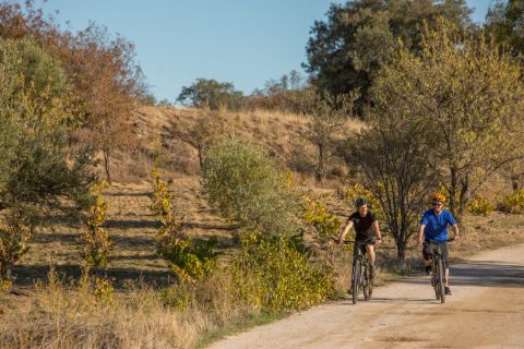 Ciclistas por un camino de otoño